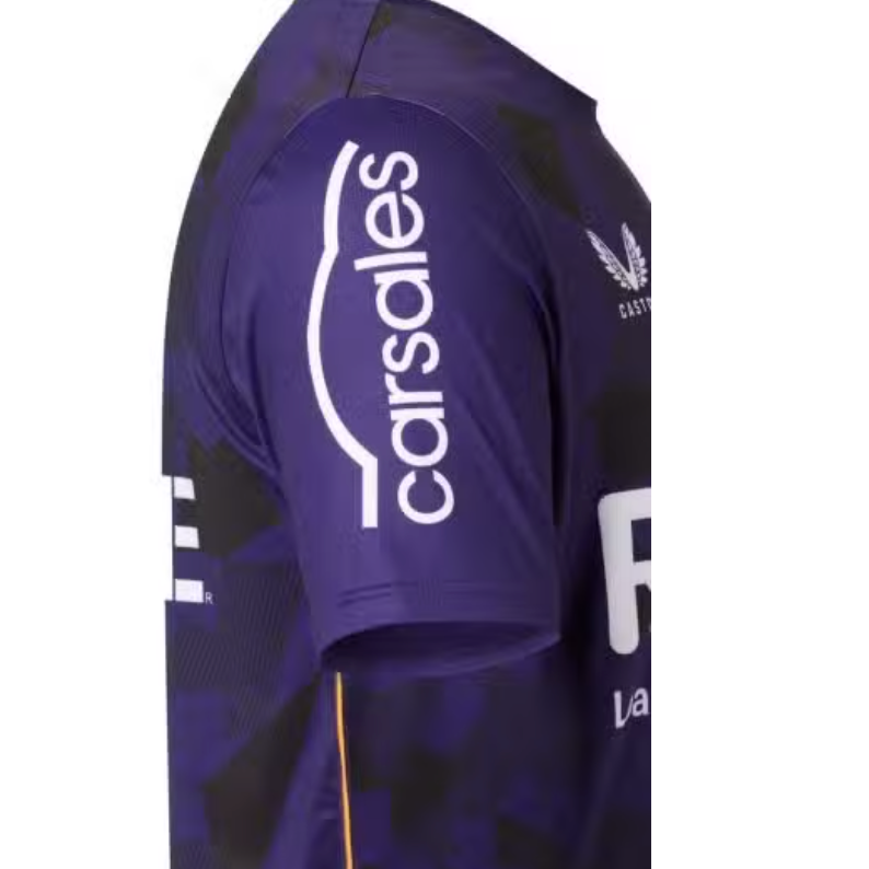 Mens Melbourne Storm Training Shirt (Purple)