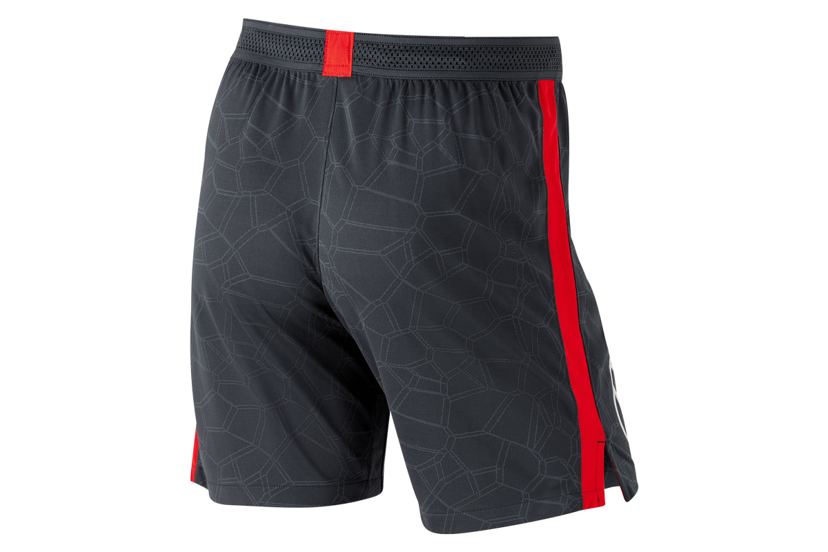 Sydney Swans Nike Gym Shorts