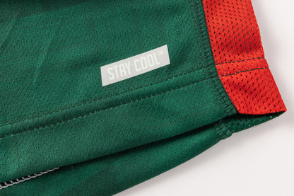 South Sydney Rabbitohs 2026 Mens Training Singlet (Green)