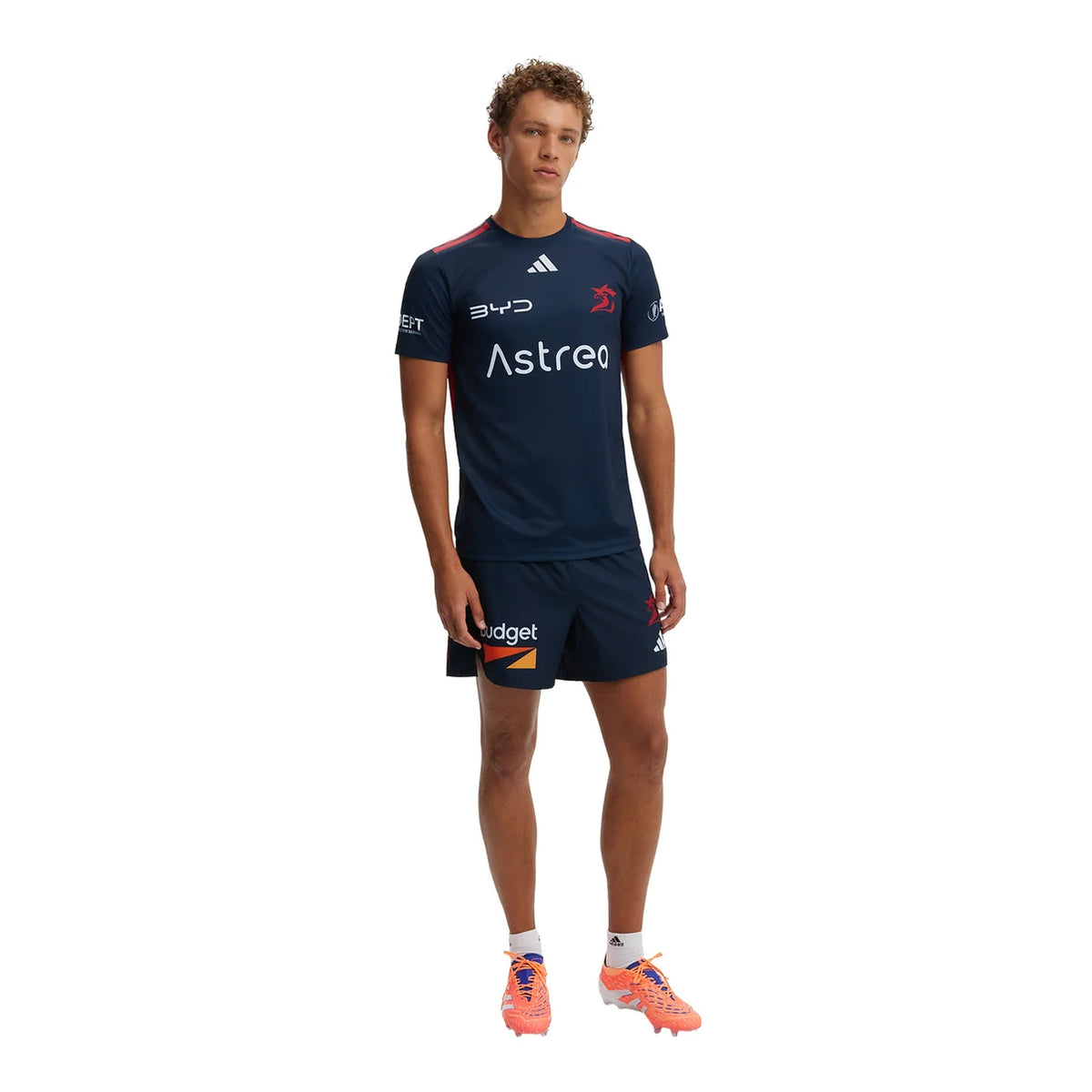 Sydney Roosters Adults 2026 In Season Training T-Shirt
