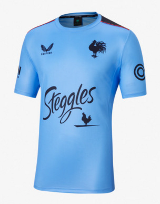 Mens Sydney Roosters Training Tee (Bondi Blue)