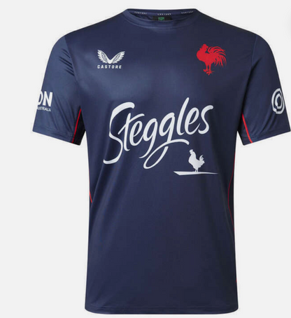 Mens Sydney Roosters Training T-Shirt