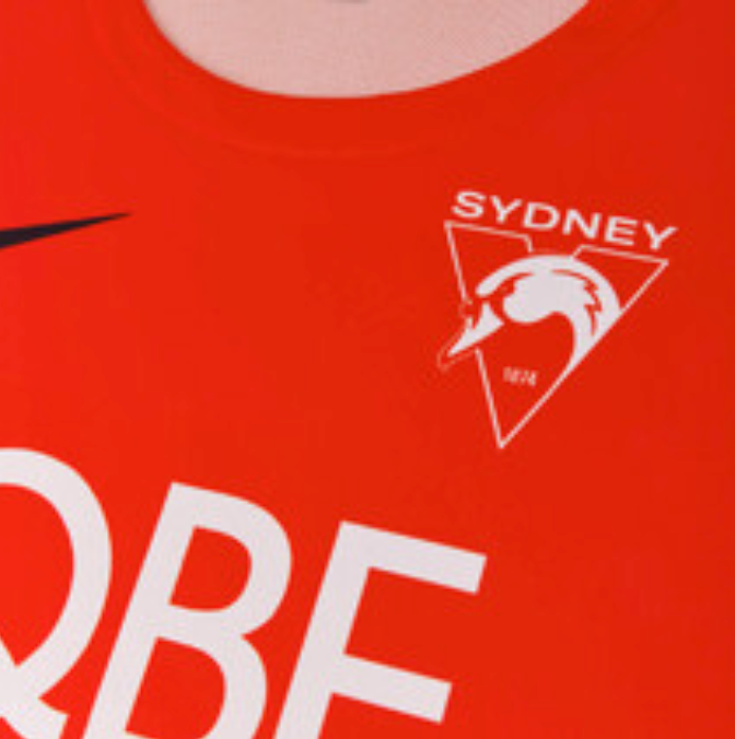 Sydney Swans Mens Nike Training Singlet