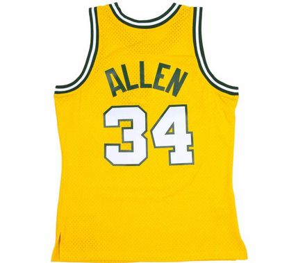 Seattle Sonics Swing Man Jersey Ray Allen