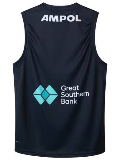 Carlton Football Club 2025 Men's Home Guernsey