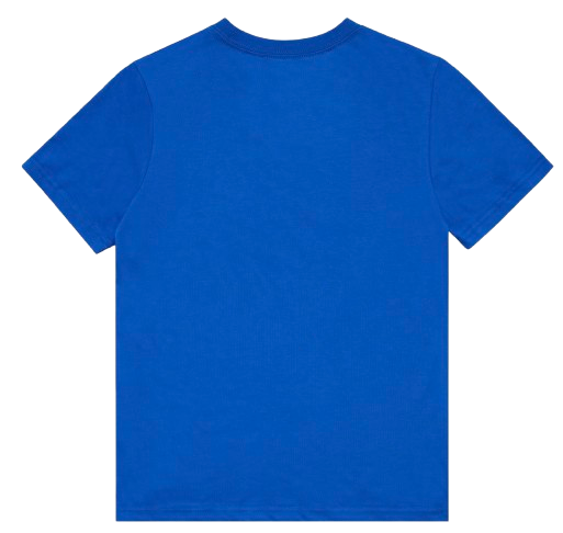 Western Bulldogs Youths Banner Tee